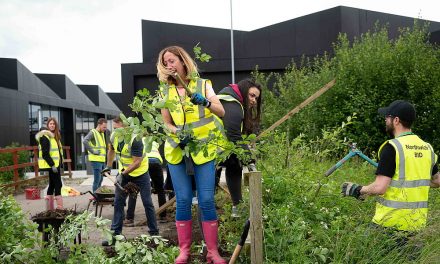 Northwich BID helps make the town greener and cleaner