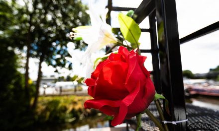 Northwich preparing to bloom once again